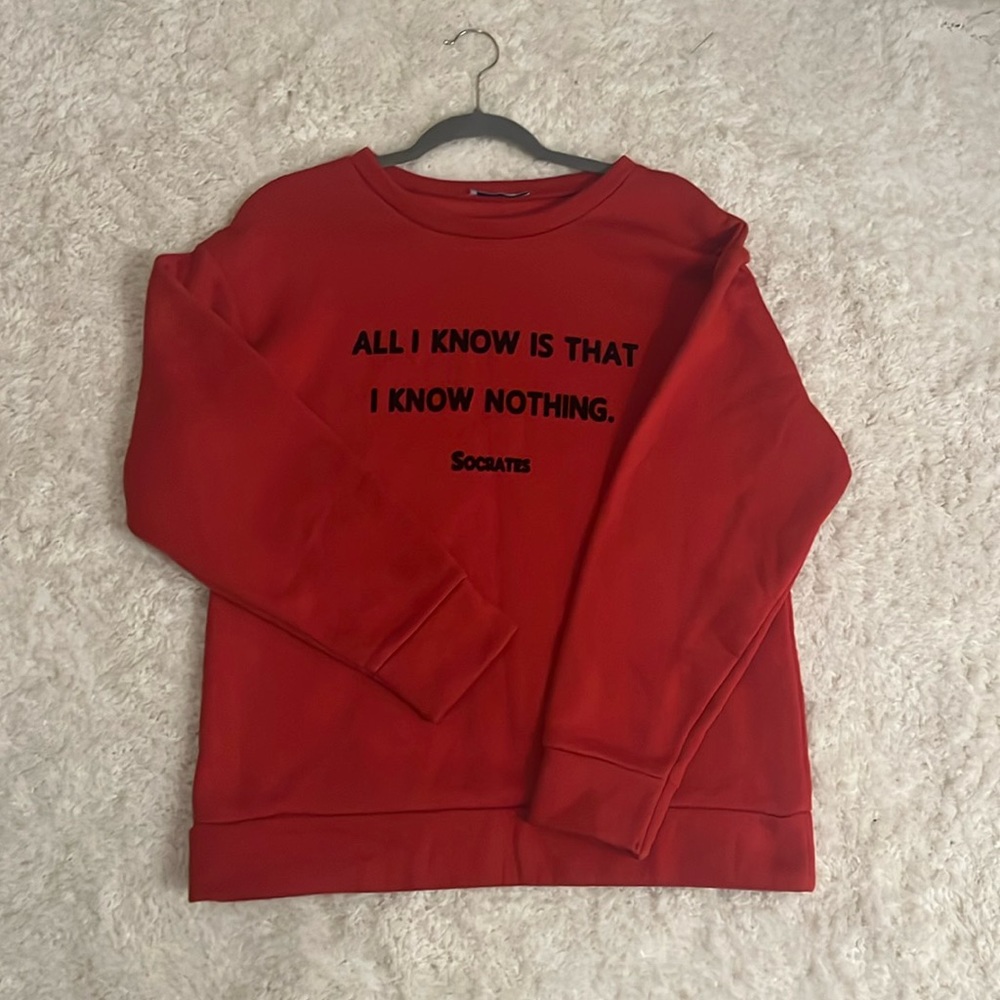Zara sweatshirt